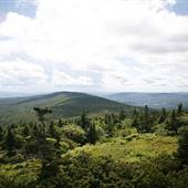 Mount Greylock Summit