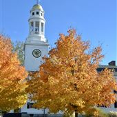 Concord