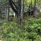 Lake Monomonac A-Frame