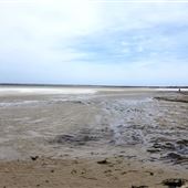 Cape Cod Sea Camps (closed)