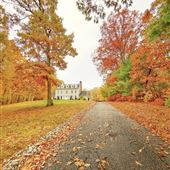Palmer House