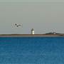 Long Point Light, Provincetown