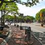 Davis Square