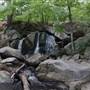 Willard Brook State Forest