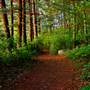 Stony Brook Wildlife Sanctuary
