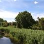 The Back Bay Fens