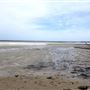 Cape Cod Sea Camps (closed)