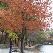 Walden Pond State Reservation, Concord