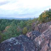 Highland Park, Greenfield