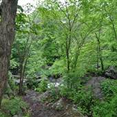 Beaver Brook Reservation
