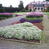 The Gardens at Elm Bank- Mass Hort Property
