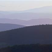 Goshen