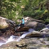 Chester-Blandford State Forest Campground/Boulder Park