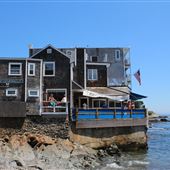 The Barnacle