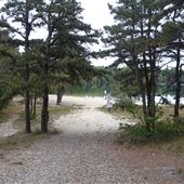 Myles Standish State Forest