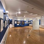 Museum of African American History