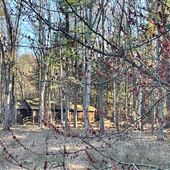 Log Cabin & Outhouse Sherborn, MA