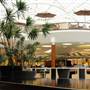Natick Mall