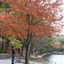 Walden Pond State Reservation, Concord