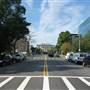 Washington DC Street Dupes