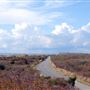 Moshup Trail
