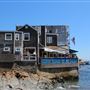 The Barnacle