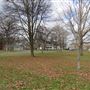 Sturbridge common