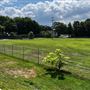 Old Little League Field