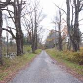 Windsor State Forest Cemetery