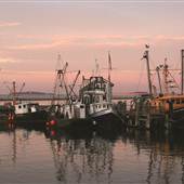 Plymouth Harbors