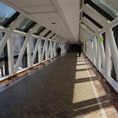 Westin Hotel Sky Bridge