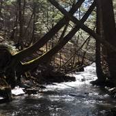 Mt. Greylock State Reservation