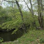 Nashua River Reservoir