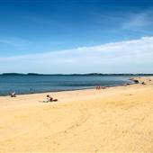 Wollaston Beach