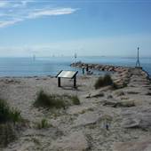 Rock Harbor