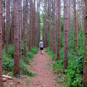 Greenough Pond Trails