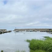 Lane's Cove (Lanesville)