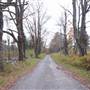 Windsor State Forest Cemetery