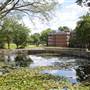Brandeis University