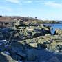 Nahant