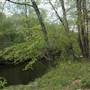 Nashua River Reservoir