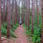 Greenough Pond Trails