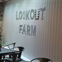 Belkin Family Lookout Farm