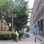 SoWa (E Berkeley St to Worcester Square)