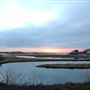 Good Harbor Beach Marsh