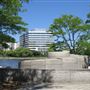 Nashua Street Park