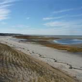 Mant's Landing Beach