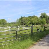 Valley Knolls Farm