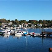Rocky Neck Art Colony in Summer