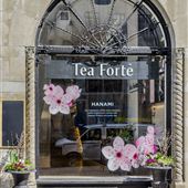 Tea Forte